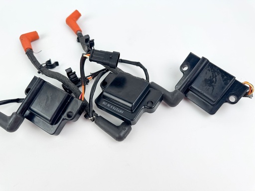 [027895] 2015 Evinrude 225 HP 2 Stroke Outboard Ignition Coil Set {mpn} OEM