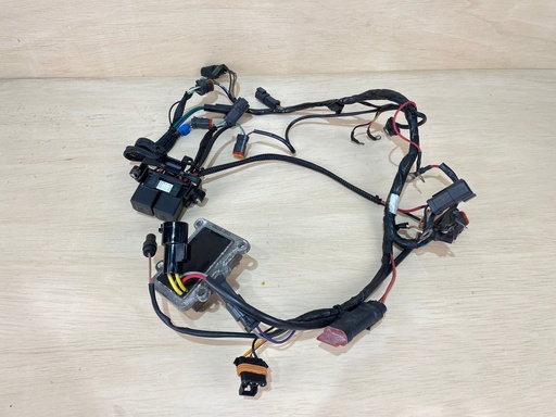 [3481] 2004 Evinrude 115HP Outboard 2 Stroke Engine Wire Harness Assembly 0584762