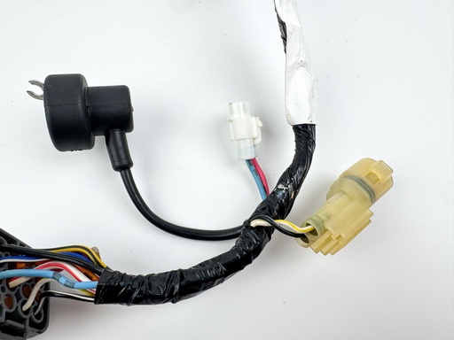 [028463] 2006 Suzuki 25 HP 4 Stroke Outboard Engine Wire Harness {mpn} OEM