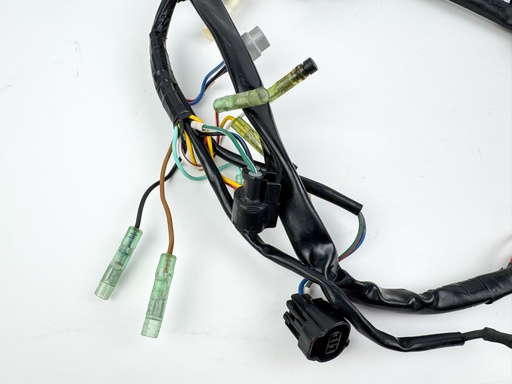 [028658] 2006 Mercury 25 HP 4 Stroke Outboard Engine Wire Harness {mpn} OEM
