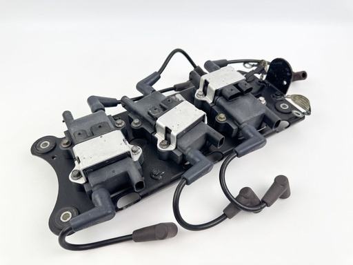 [029309] 2003 Mercury 225 HP 2 Stroke Outboard Ignition Coil Set W/ Plate {mpn} OEM