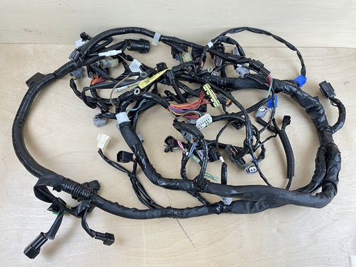 [008206] 2006 Yamaha 250HP 4 Stroke Outboard Engine Wiring Harness 6P2-82590-30-00