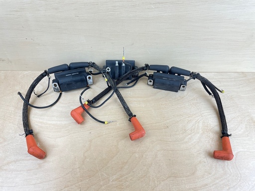 [008238] 2007 Evinrude 150HP Etec 2 Stroke Dual Ignition Coil Set (6) 586854