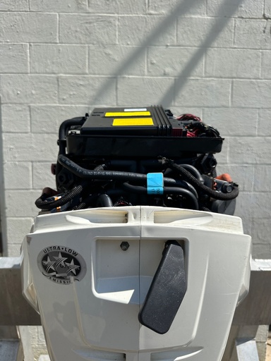 [031321] 2008 Evinrude 115 HP 2 Stroke Outboard Engine Complete {mpn} OEM
