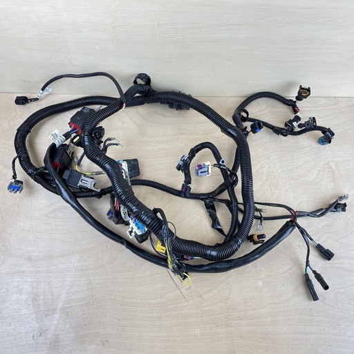 [008579] 2010 Mercury 40HP 4 Stroke Outboard Engine Wire Harness Assembly 8M0044998