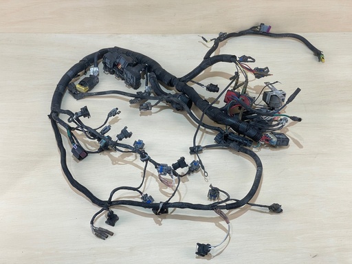 [2979] Mercury Pro XS 225HP Outboard Engine Wiring Harness Assembly 8M0065142