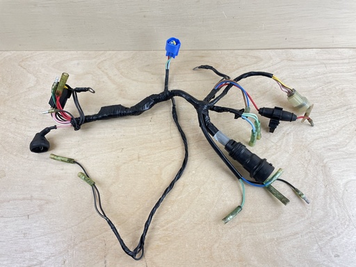 [008883] 1999 Yamaha 50HP 4 Stroke Outboard Engine Wire Harness Assembly 62Y-82590-10-00