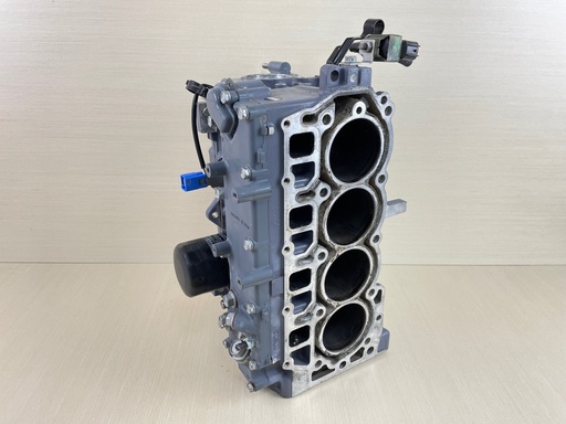 [009067] 2006 Yamaha 50HP 4 Stroke Outboard Crankcase Crank Case Assembly 6C5-15100-10-1S