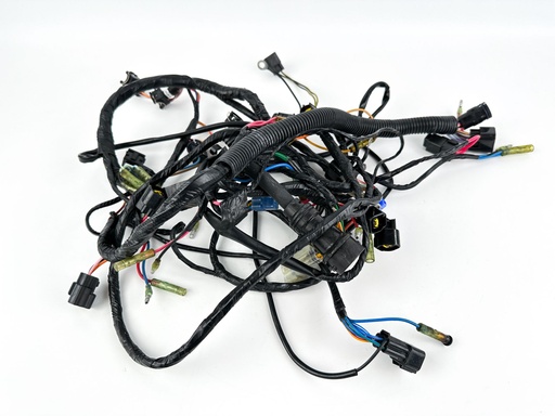 [038680] 2001 Yamaha 150 HP 2 Stroke Outboard Engine Wire Harness {mpn} OEM