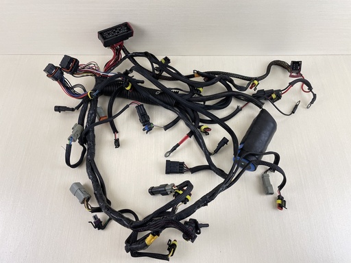 [009141] 2007 Evinrude Etec 115HP 2 Stroke Outboard Engine Wire Harness 0586891