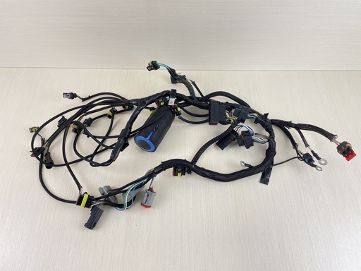 [009191] 2008 Evinrude 75HP Etec 2 Stroke Outboard Engine Wire Harness 0586973