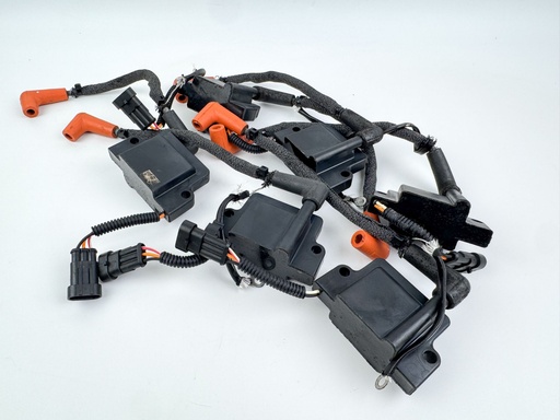 [040380] 2010 Evinrude 250 HP 2 Stroke Outboard Ignition Coil Set {mpn} OEM