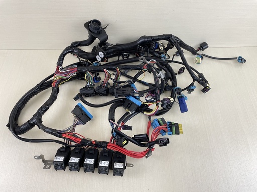 [009350] 2007 Mercury 150HP 4 Stroke Verado L4 Outboard Engine Wire Harness Assembly 892579A06