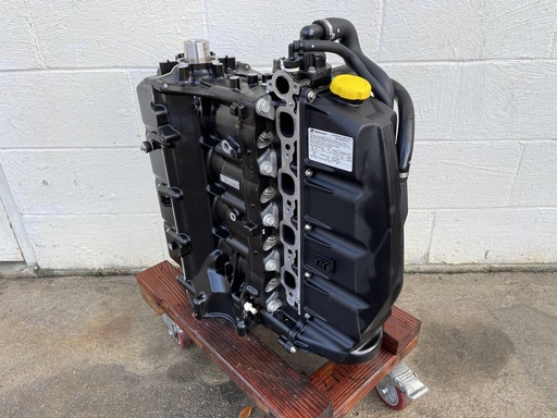 [009356] 2018 Mercury 90HP 4 Stroke EFI Outboard Powerhead Long Block Assembly 8M0114714