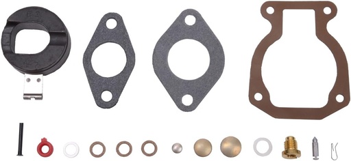 [009569] Johnson Evinrude BRP Carburetor Rebuild Repair Kit 439072 OEM