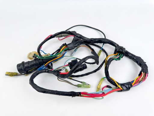 [041794] 1999 Yamaha 200 HP 2 Stroke Outboard Engine Wire Harness {mpn} OEM