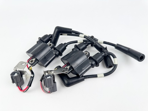 [042003] 2014 Yamaha 60 HP 4 Stroke Outboard Ignition Coil Set {mpn} OEM