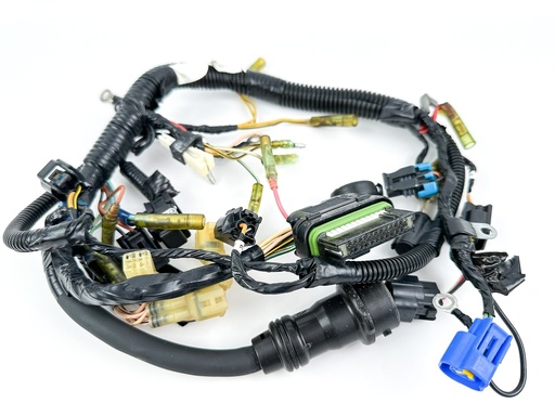 [009476] 2004 Yamaha 40HP 4 Stroke Outboard Engine Wire Harness Assembly 67C-82590-40-00