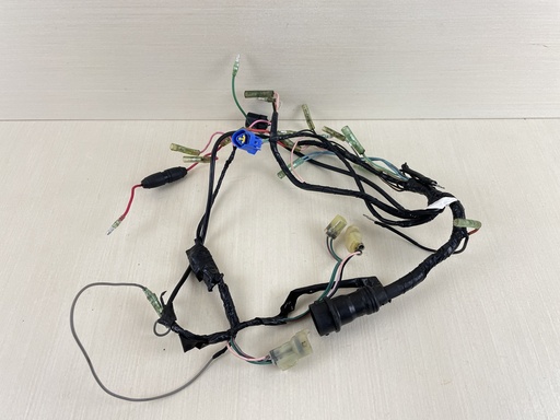 [009700] 2009 Yamaha 50HP 2 Stroke Outboard Engine Wire Harness Assembly 63D-82590-41-00