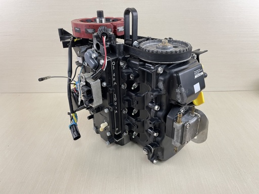 [009904] 2005 Mercury 40HP 4 Stroke Outboard Powerhead Assembly 803017T01 - 74 Hours