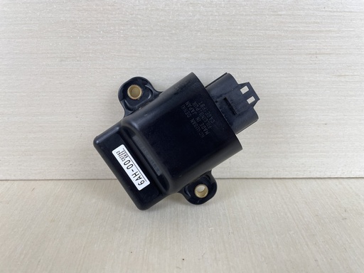 [009933] 2007 Yamaha 20HP 4 Stroke Outboard CDI C.D.I. Unit Assembly 6AH-85540-00-00