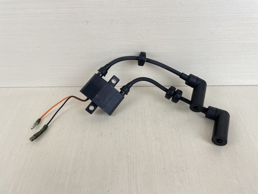 [009934] 2007 Yamaha 20HP 4 Stroke Outboard Ignition Coil Assembly 6F5-85570-12-00