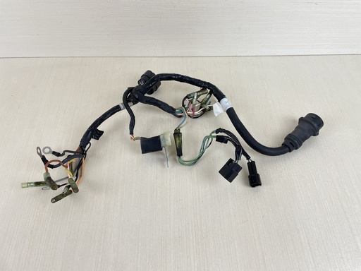 [009935] 2007 Yamaha 20HP 4 Stroke Outboard Wire Harness Assembly 6AH-82590-00-00