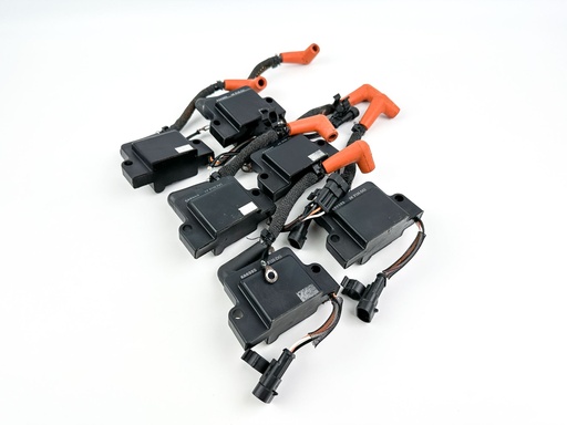 [044550] 2009 Evinrude 150 HP 2 Stroke Outboard Ignition Coil Set {mpn} OEM
