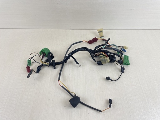 [009901] 2001 Honda 90HP 4 Stroke Outboard Engine Wire Harness Assembly 32520-ZW1-740