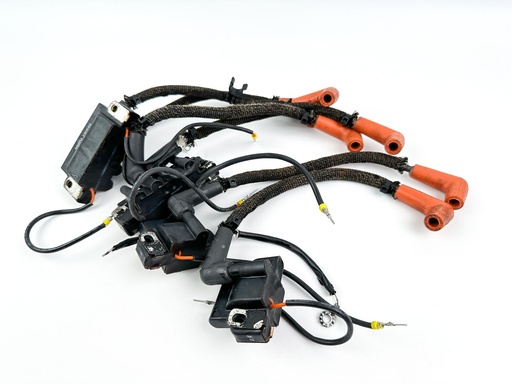 [045880] 2007 Evinrude 250 HP 2 Stroke Outboard Ignition Coil Set {mpn} OEM