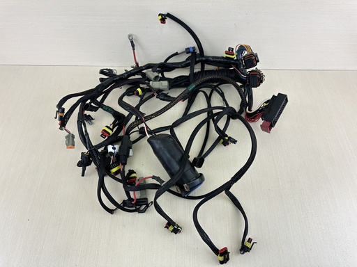 [010162] 2007 Evinrude 150HP Etec 2 Stroke Outboard Engine Harness Assembly 0586898
