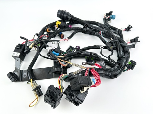 [047296] 2007 Mercury 60 HP 4 Stroke Outboard Engine Wire Harness {mpn} OEM