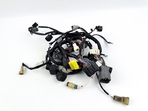 [047666] 2006 Suzuki 50 HP 4 Stroke Outboard Engine Wire Harness {mpn} OEM