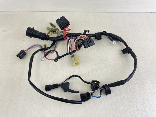 [010491] 2002 Yamaha 80HP 4 Stroke Outboard Engine Wire Harness Assembly 67F-82590-04-00
