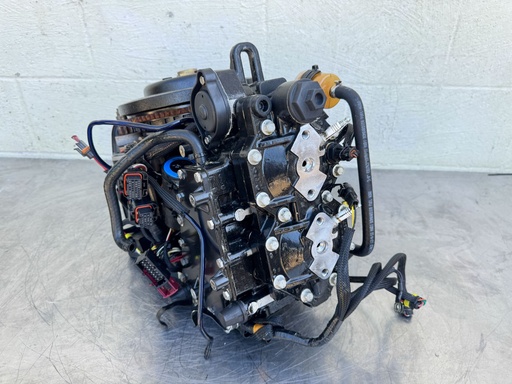 [049329] 2006 Evinrude 40 HP 2 Stroke Outboard Powerhead {mpn} OEM