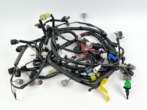 [053065] 2019 Yamaha 250 HP 4 Stroke Outboard Engine Wire Harness {mpn} OEM