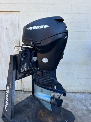 [053949] 2007 Evinrude 40 HP 2 Stroke Outboard Engine Complete {mpn} OEM
