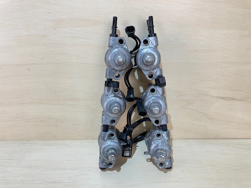 [3241] Evinrude Etec G2 150 - 200HP Outboard Engine Injector Assembly (6) 5010207