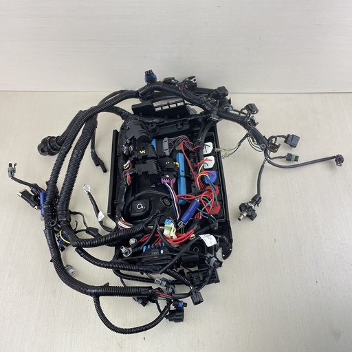 [009683] Mercury 135 150 175 200 HP L4 Verado Engine Wire Harness 892579A06