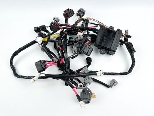 [055411] 2016 Suzuki 175 HP 4 Stroke Outboard Engine Wire Harness {mpn} OEM
