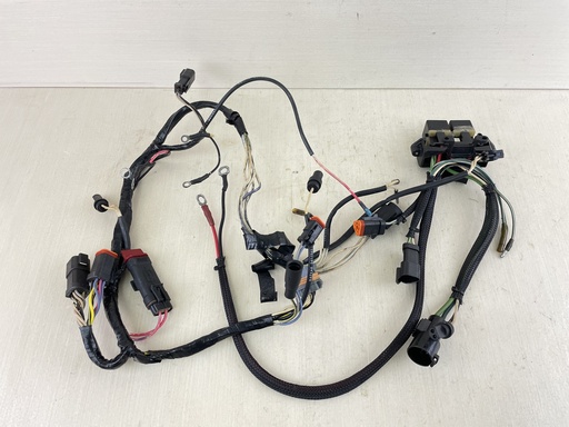 [010064] 96-2006 Johnson Evinrude 150 175 HP Outboard Engine Wire Harness 0586028