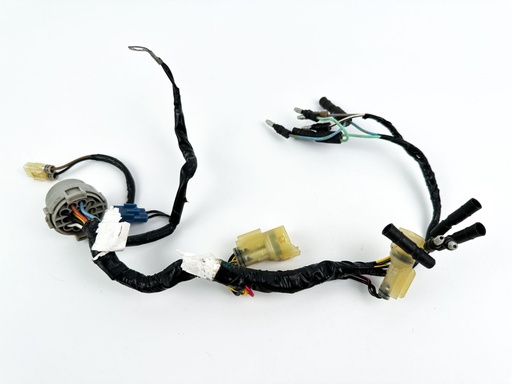 [056074] 1999 Honda 40 HP 4 Stroke Outboard Engine Wire Harness {mpn} OEM