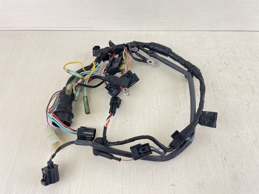 [010231] 2001 Yamaha 100HP 4 Stroke Outboard Engine Wire Harness 67F-82590-01-00