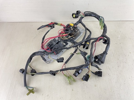 [010795] Mercury 225HP 2 Stroke Outboard 3.0L Engine Wire Harness 825433A7