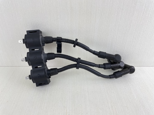 [011427] 2002+ Honda 25 30 HP 4 Stroke Outboard Ignition Coil Assembly 30500-ZW2-F01