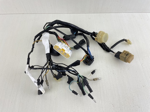 [011435] 2004 Honda 30HP 4 Stroke Outboard Engine Wire Harness 32520-ZW2-F10