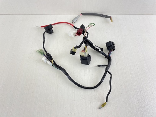 [011268] 2011 Suzuki 25HP 4 Stroke Outboard Twin V Engine Harness 36610-95J00