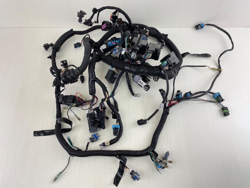 [011816] 2008 Mercury 150HP Optimax 2 Stroke Engine Wire Harness 892926T03