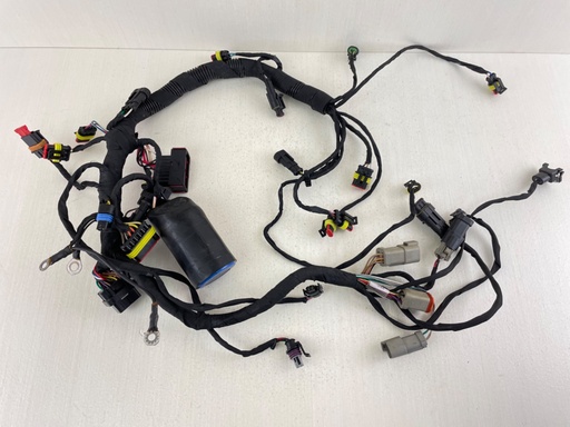 [011920] Evinrude 40 50 60 HP Etec AG Outboard Engine Wire Harness 0587286