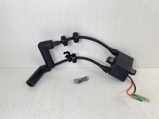 [012193] 2010 Yamaha 25HP 4 Stroke Outboard Ignition Coil Assembly 6F5-85570-13-00